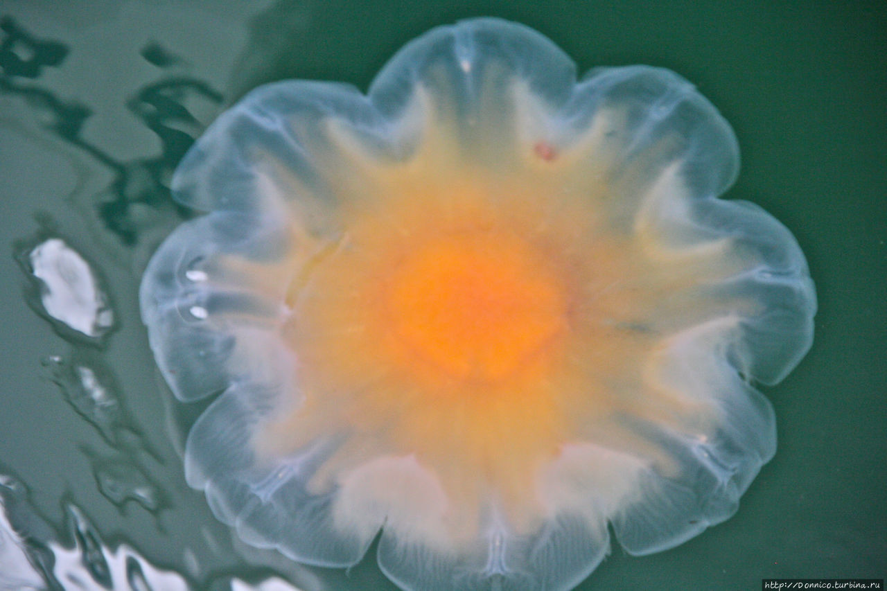 Водяное Солнце Ставангер, Норвегия