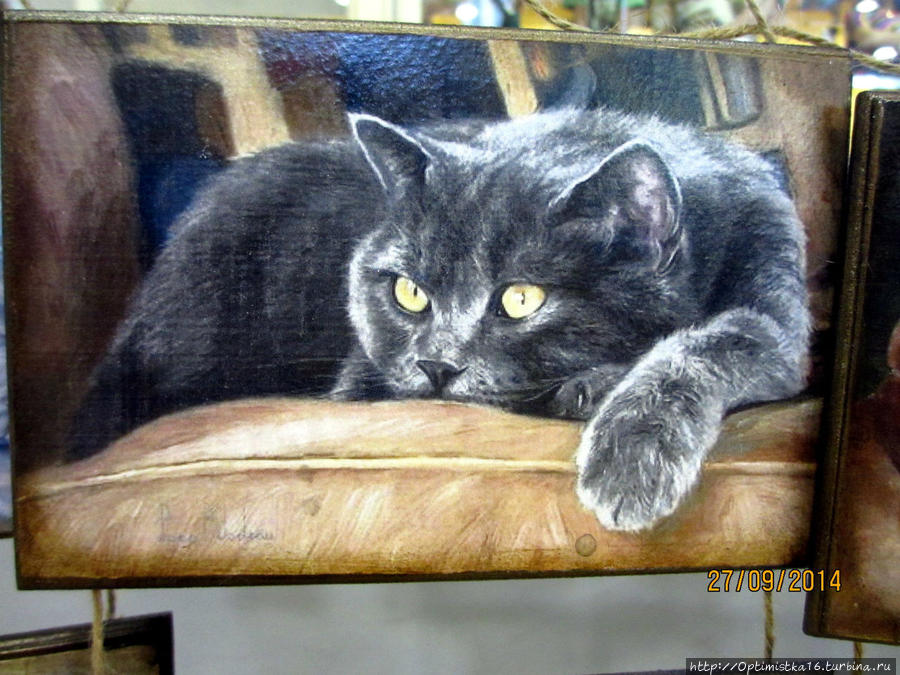 Картинки с выставки Хайфа, Израиль