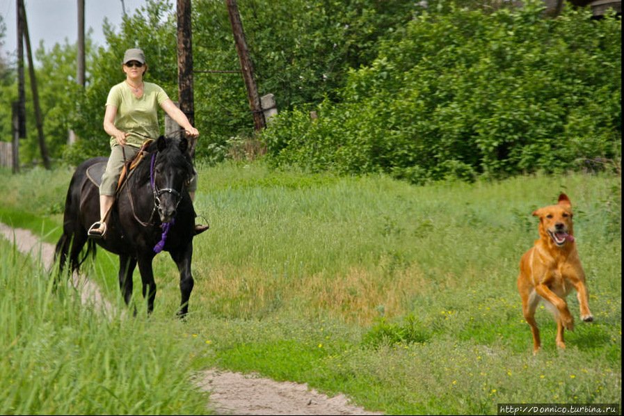 Итоги судейства  6-12 октября