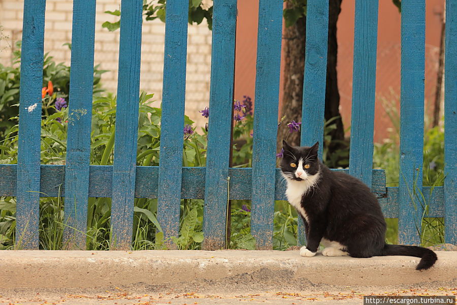 Ччерт, он меня преследует!