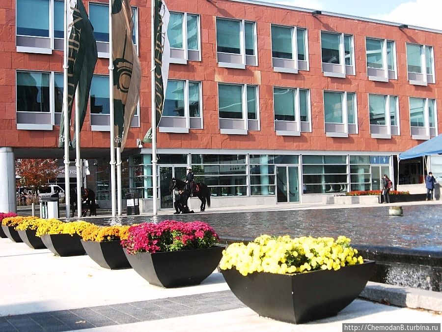 Kitchener — City Hall