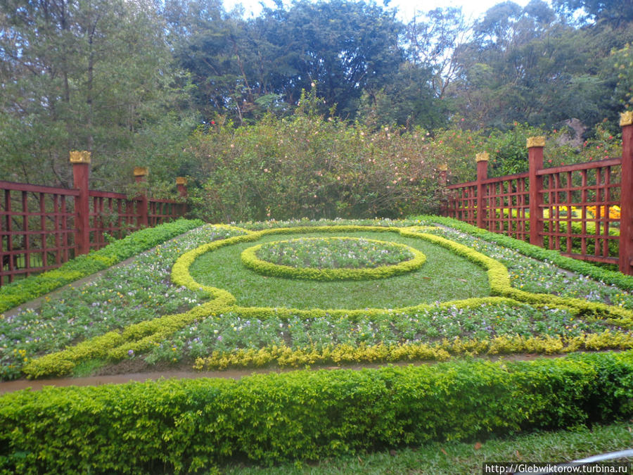 Осмотр ботанического сада: начало Пьин-У-Львин, Мьянма