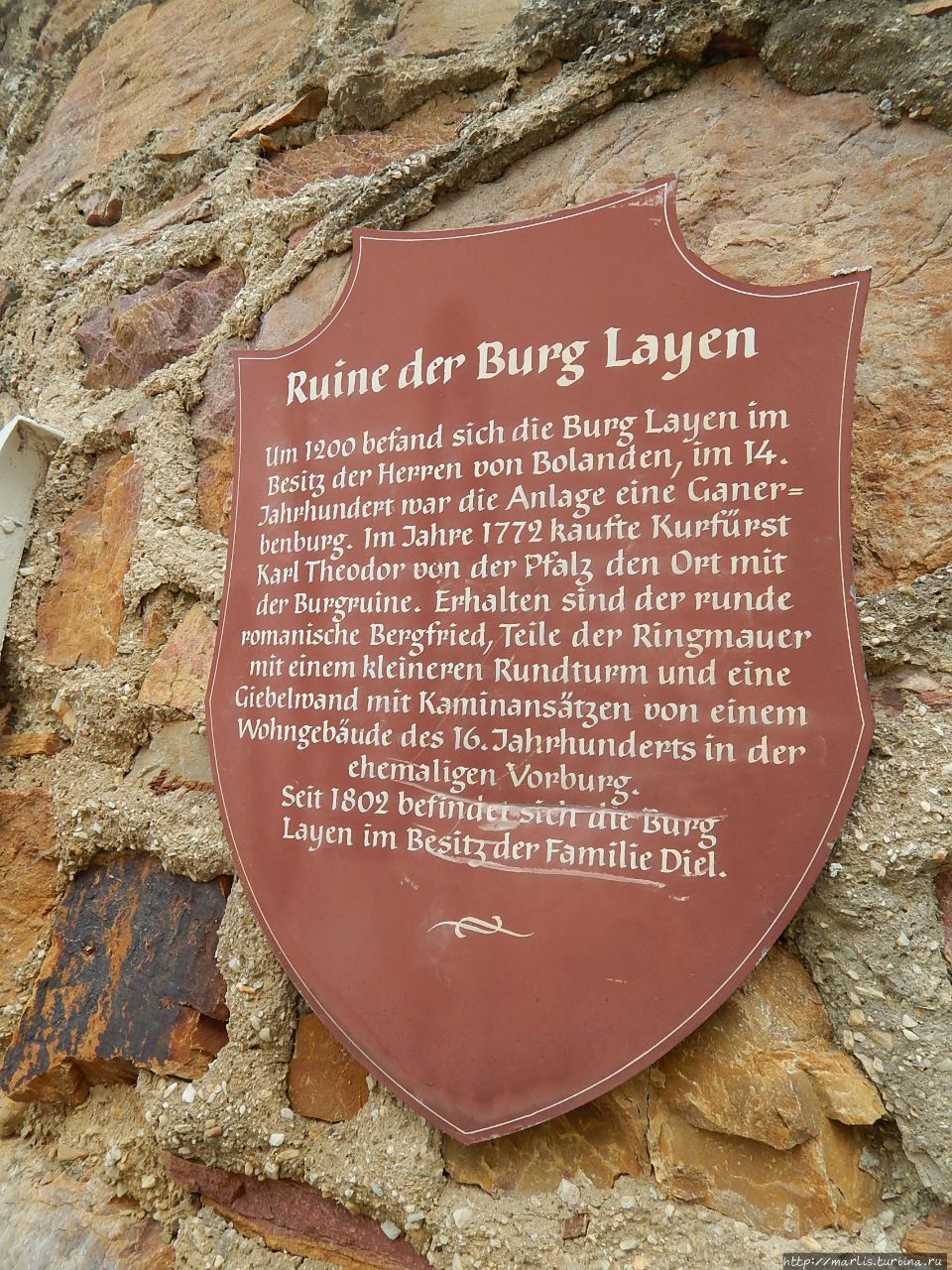 Винодельческий домен Бург Лаен Бинген-на-Рейне, Германия