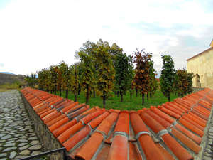 Алаверди. Виноградники.