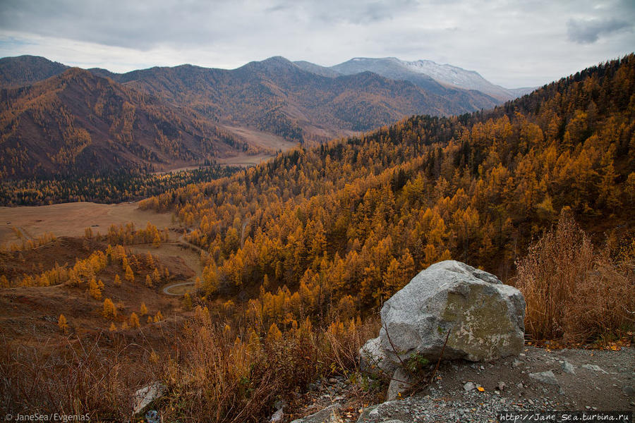 Осень на перевале Чике-Таман Чибит, Россия