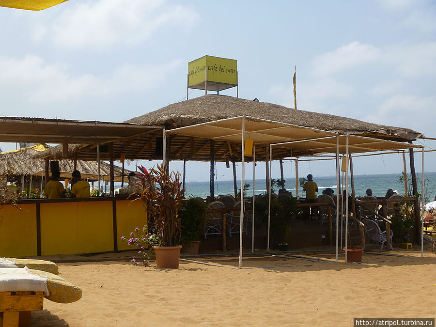 Пляжный шек — навес, беседка и бар в одном флаконе Кандолим, Индия