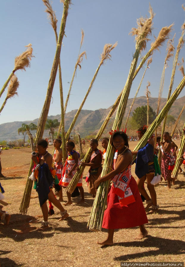 Умхланга. День VI. Возложение тростника Лобамба, Свазиленд