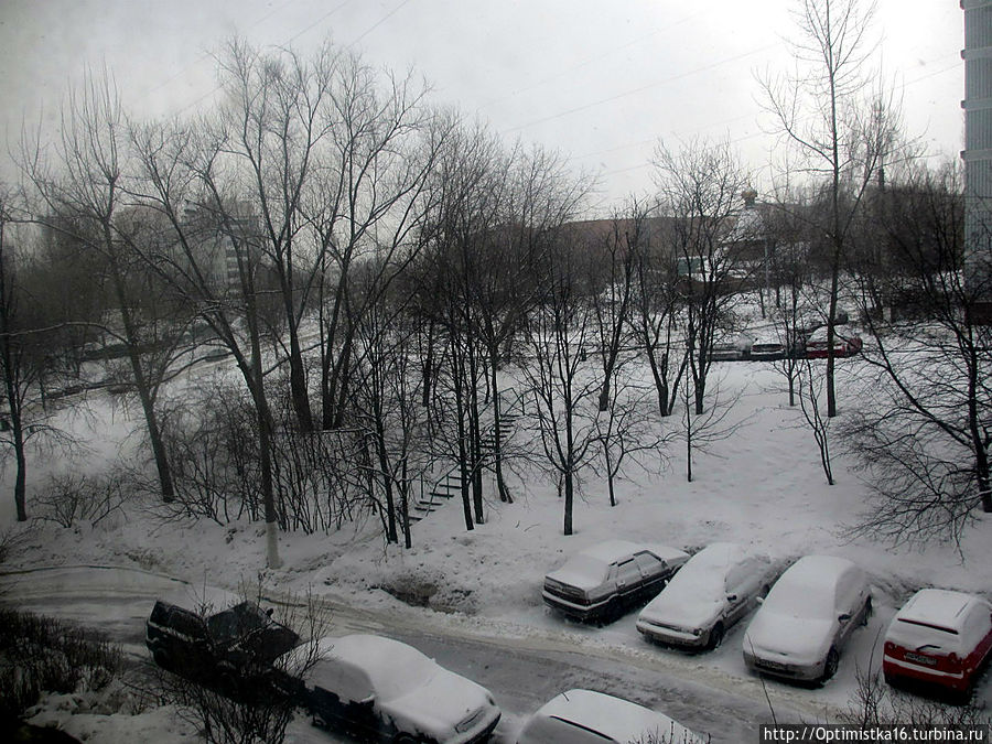 Утром 13 марта. Вид из окна. Выпал снег. Ждала вьюгу. Москва, Россия