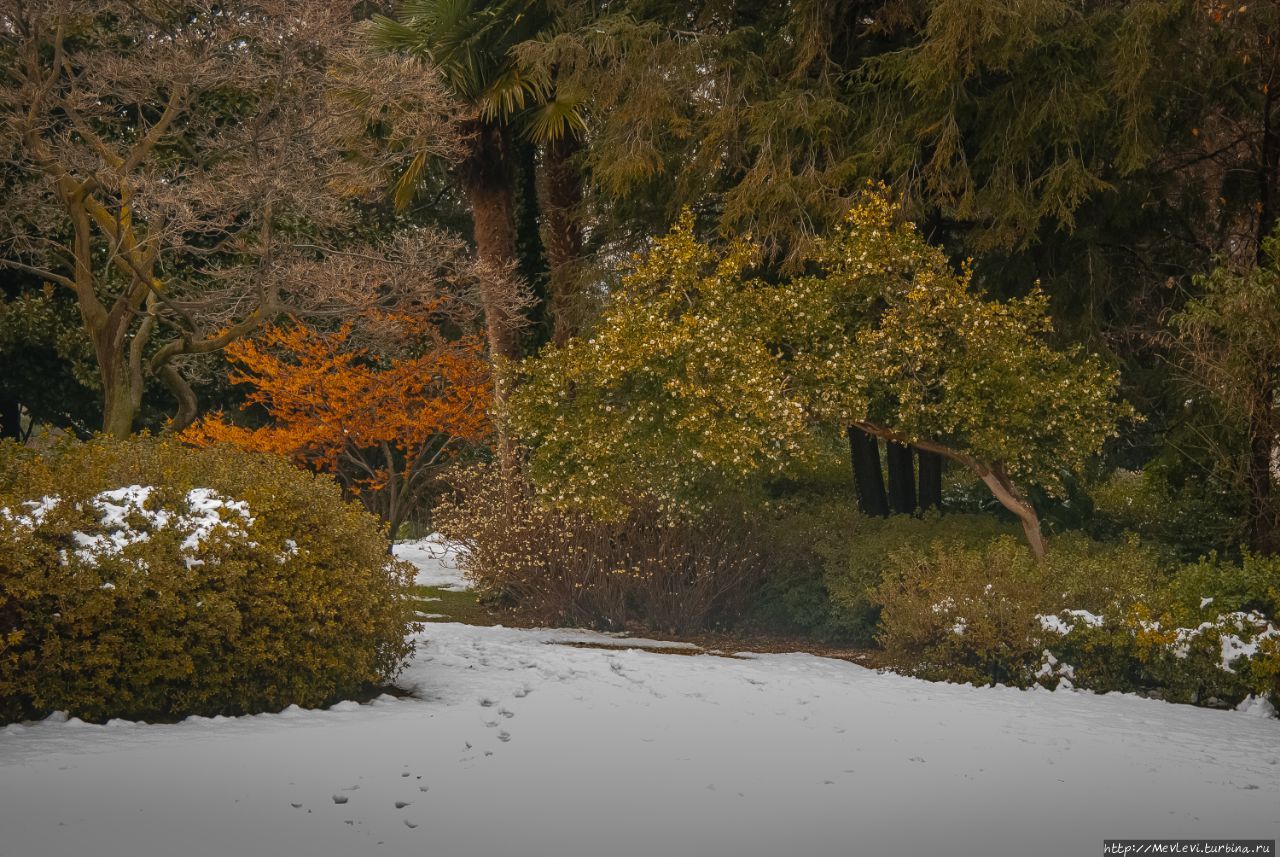 Parco Ciani, Лугано Лугано, Швейцария