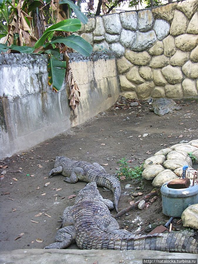 Avilion Azoo — зоосад в Маниле. Манила, Филиппины