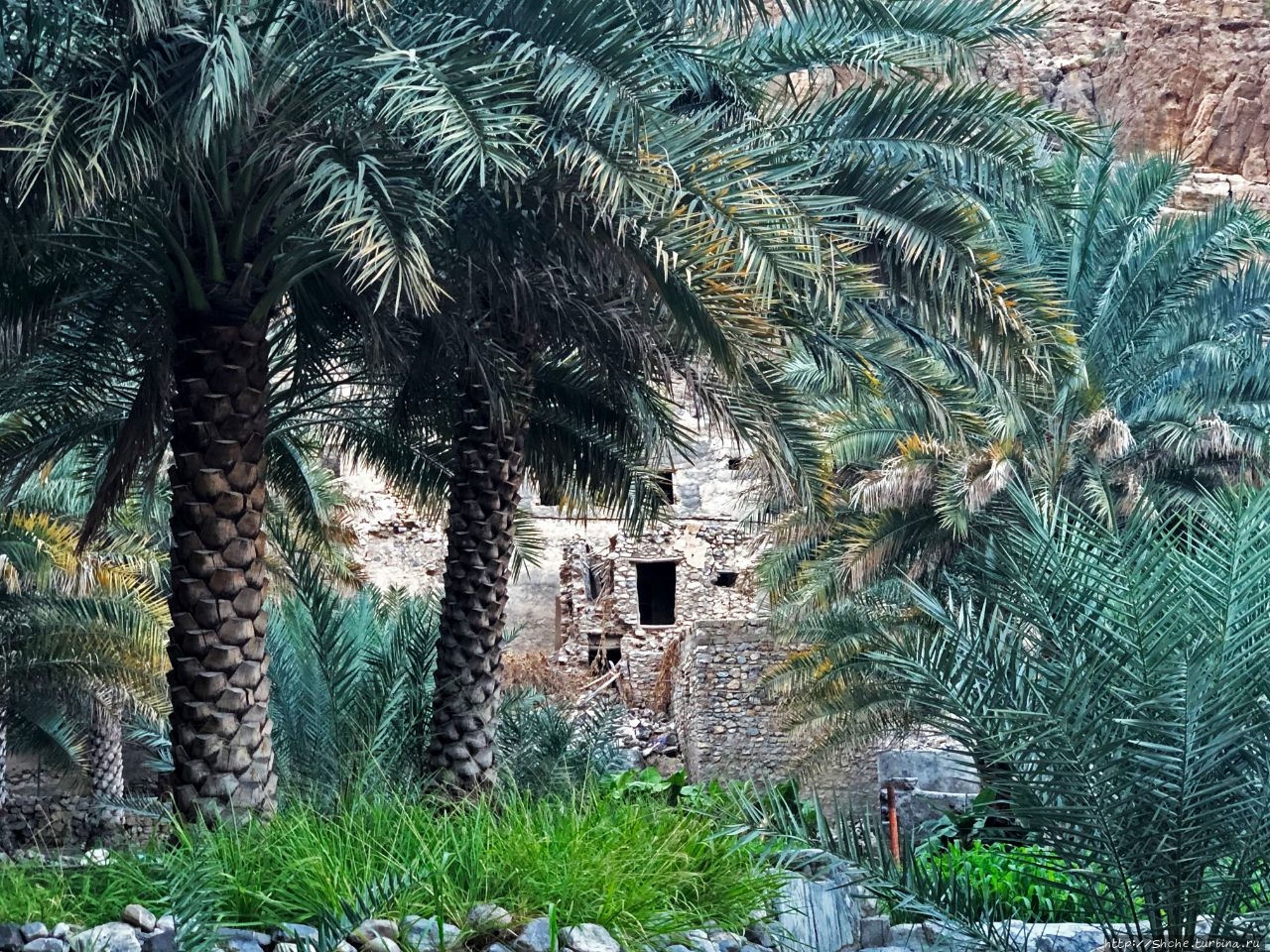 Вади Муайдин Муайдин, Оман
