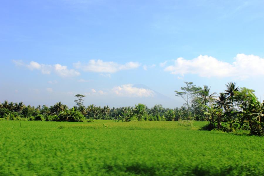 Остров Ява, Джакарта и Джокьякарта