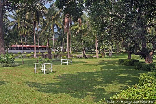 Парк Дворцового музея Парк Дворцового музея