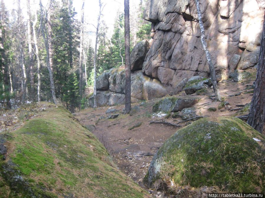 Красноярск. Заповедник Красноярские столбы Красноярский край, Россия