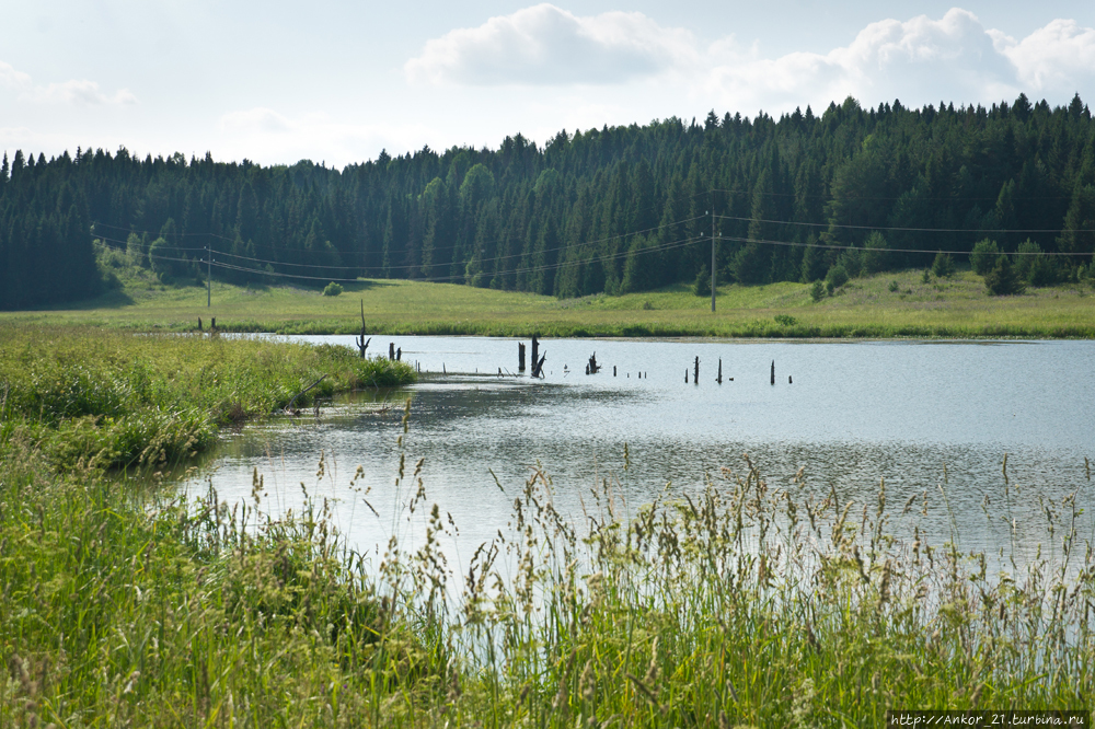 Васнецовское кольцо. Село Курчум Курчум, Россия