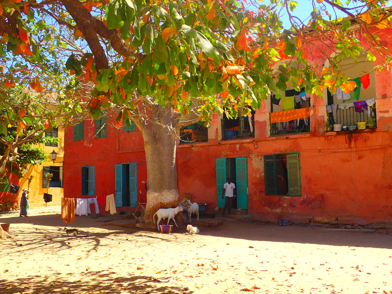 Остров рабов, объект ЮНЕСКО.  Хлебнуть горя на Горе́ Дакар, Сенегал