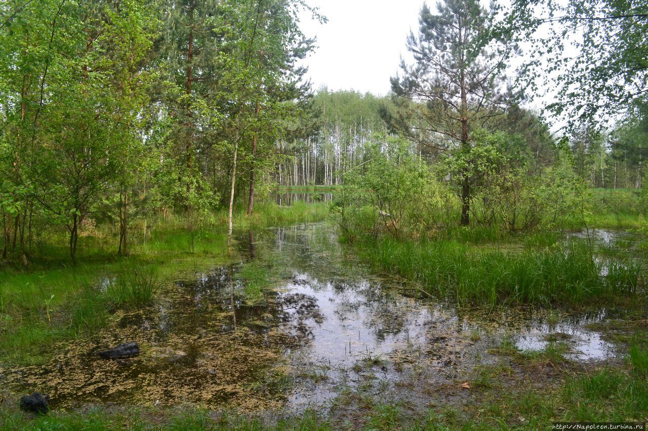 Ханская мечеть Касимов, Россия