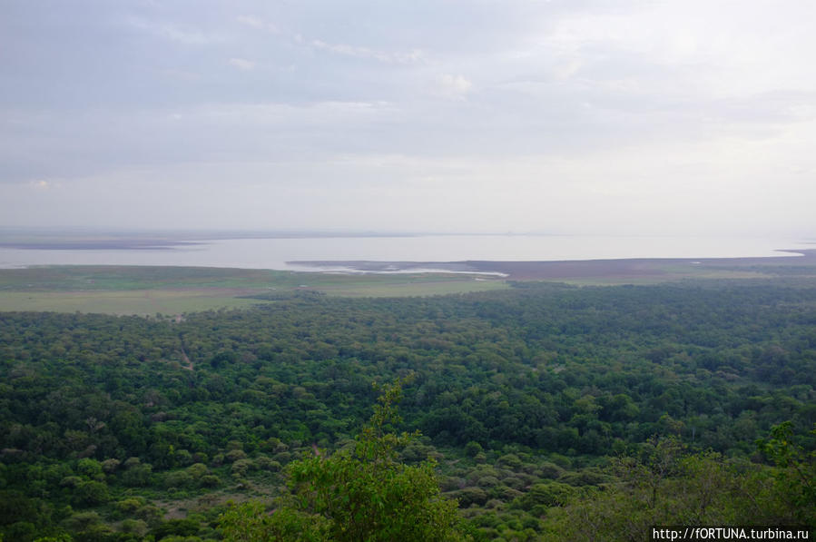 Национальный парк Озеро Маньяра Национальный парк Озеро Маньяра, Танзания