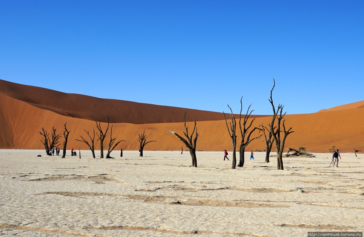 Соссусфлей. Едва ли не самое знаменитое место в Намибии. Бесконечные дюны (на одну из которых мы поднялись, а затем и спустились почти по вертикали с высоты 300 метров), фотогеничный Dead Vlei оставили одни из самых ярких впечатлений. Намибия