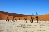 Соссусфлей. Едва ли не самое знаменитое место в Намибии. Бесконечные дюны (на одну из которых мы поднялись, а затем и спустились почти по вертикали с высоты 300 метров), фотогеничный Dead Vlei оставили одни из самых ярких впечатлений.