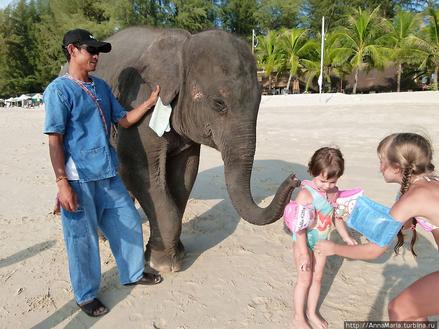 массаж от слоненка Остров Пхукет, Таиланд