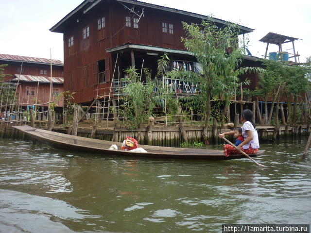 Озеро Инле и подставные падаунги Озеро Инле, Мьянма