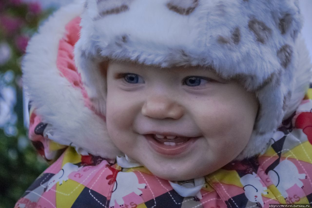 Среди азалий Рига, Латвия