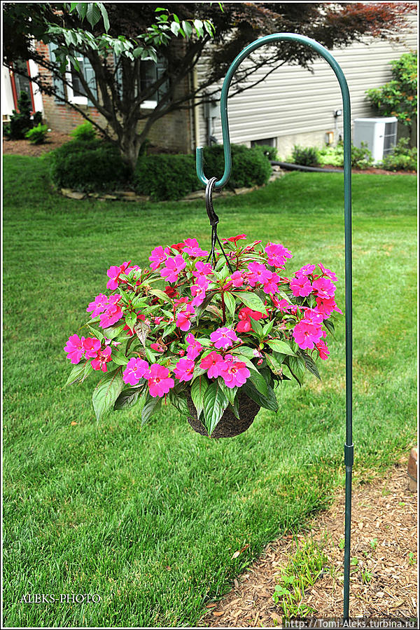 Как же без газонов...
*