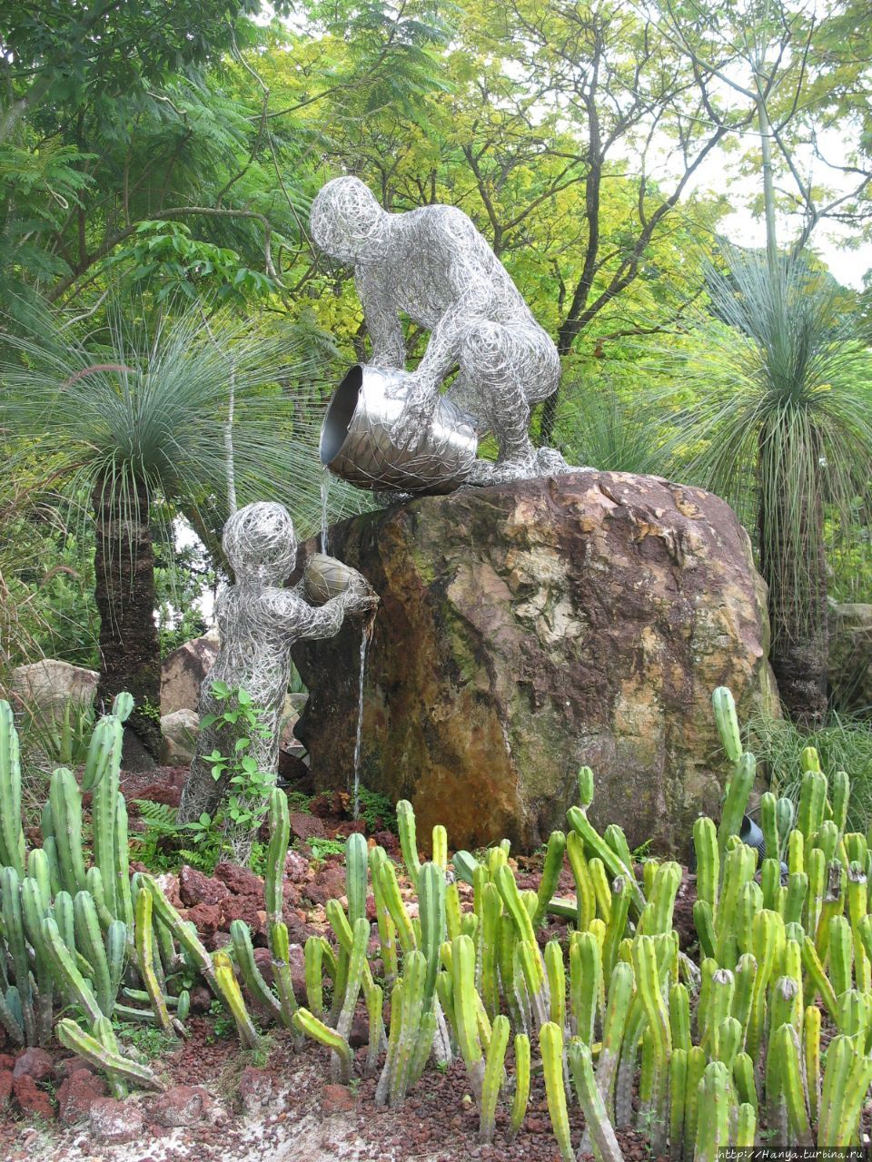 Декоративный сад и его главная гордость – Парк Орхидей. Ч.17