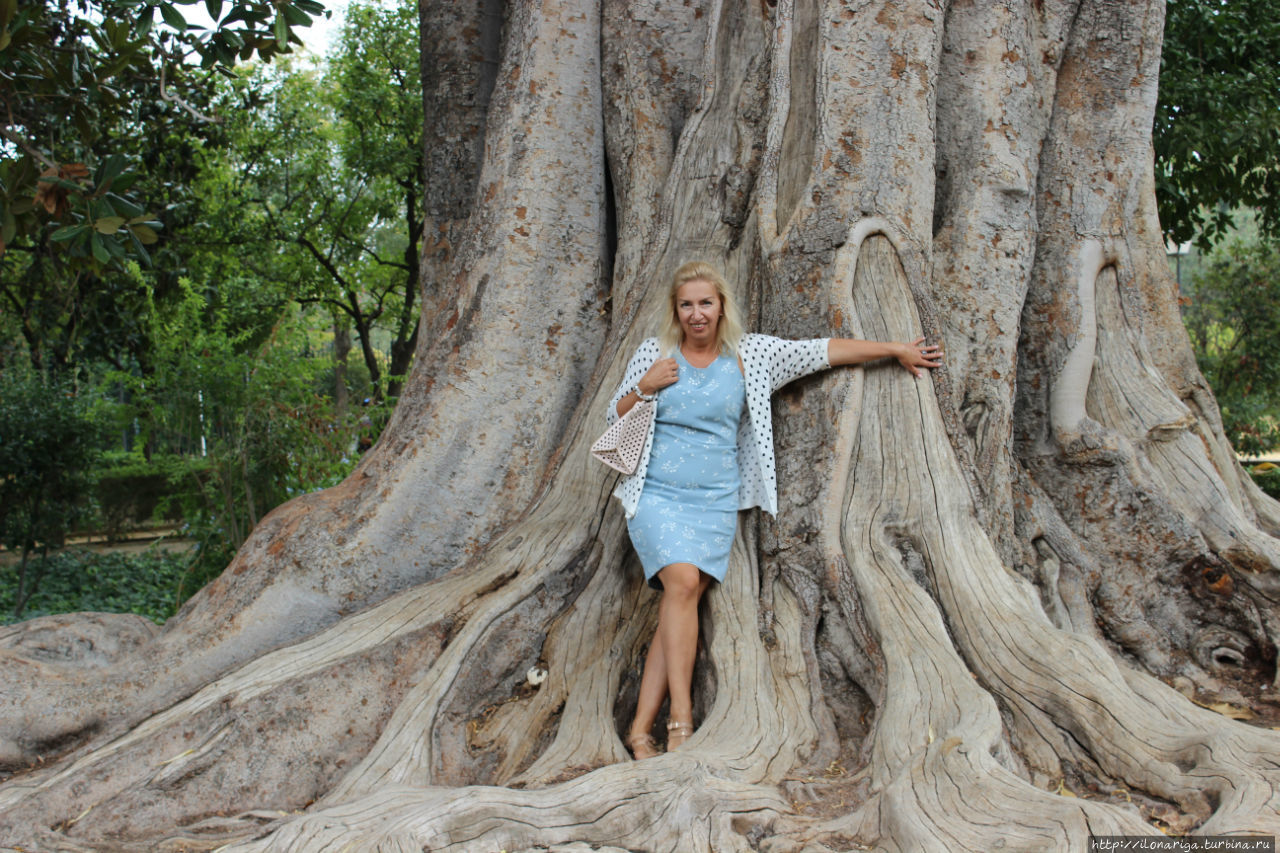 Между нами, девочками
