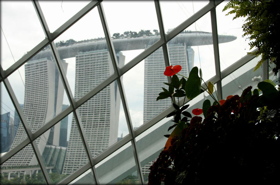 Цветочный купол и Облачный лес Сингапур (город-государство)