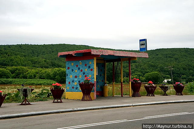 Обратная   дорога.   Нарядная   остановка  в  с. Бамбучки. Холмск, Россия