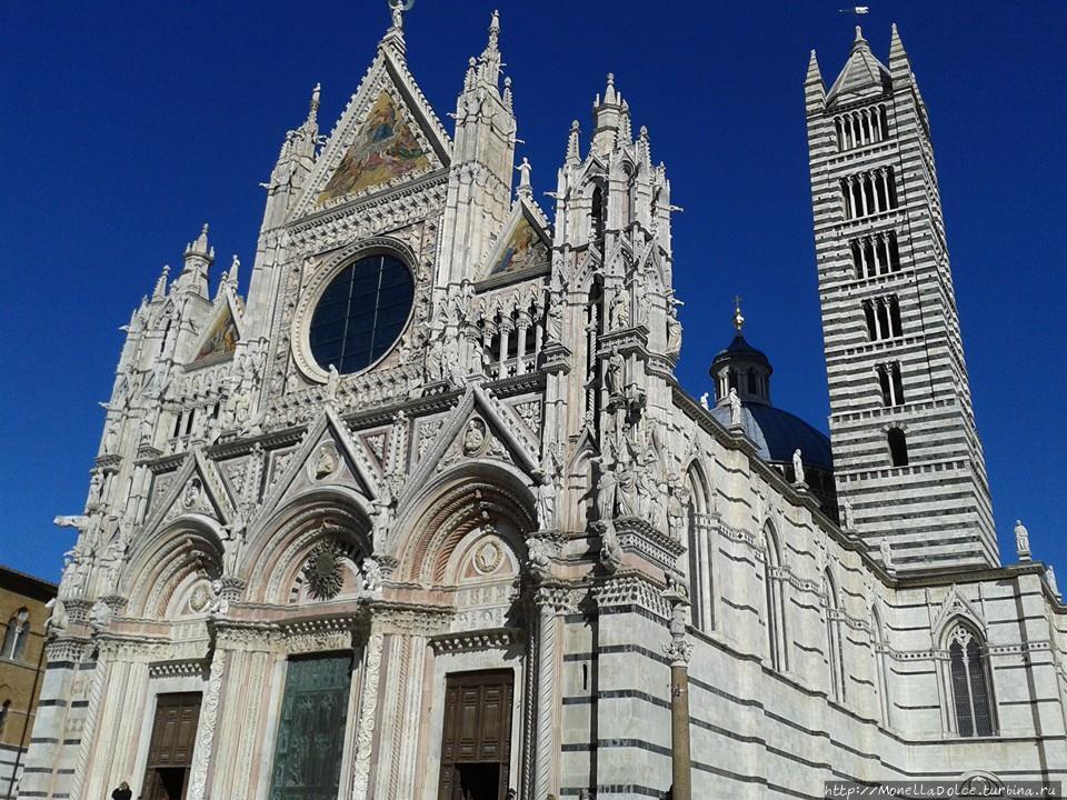 Кафедральный собор Сиены Сиена, Италия
