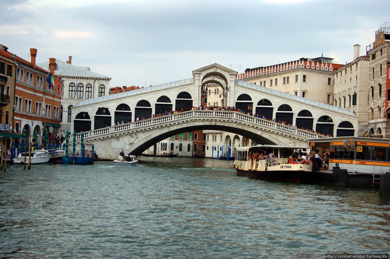 Мост Риальто. Ponte di Rialto Венеция, Италия
