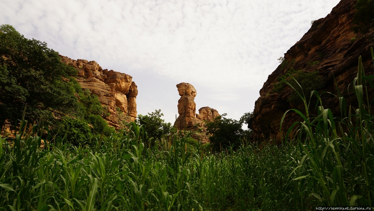 Плато Бандиагара Мали Плато Бандиагара Мали
