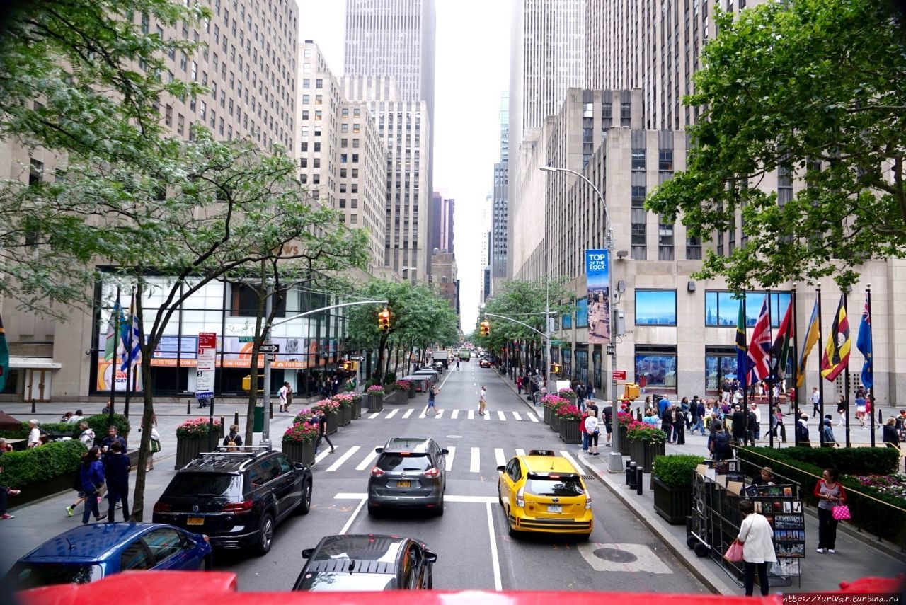 На всех улицах Манхеттена одностороннее движение и скорость ограничена 35 (и меньше) миль в час (ок. 50 км). Везде прекрасная разметка, которая не позволяет водителям ошибаться в выборе маршрута Нью-Йорк, CША