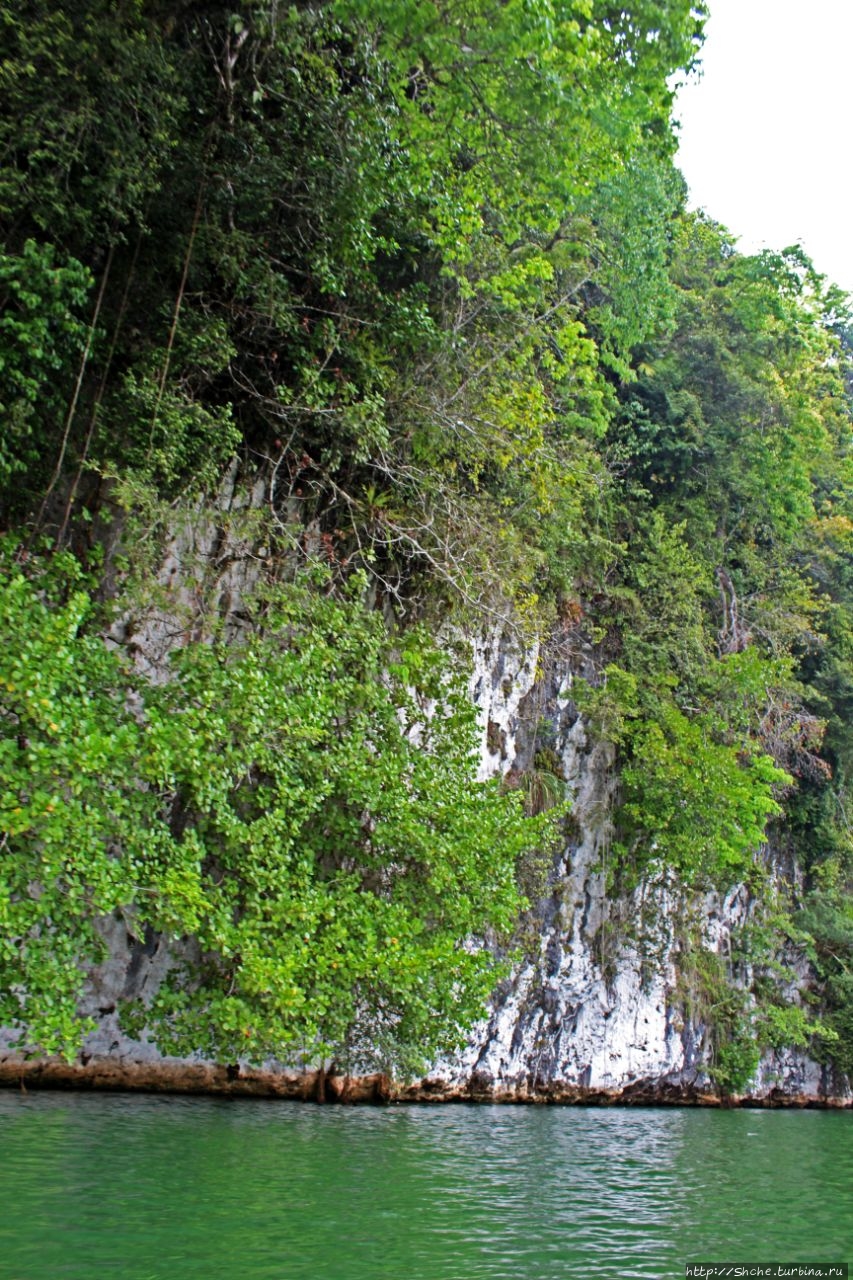 Каньон Рио Дульсе Рио-Дульсе Национальный парк, Гватемала