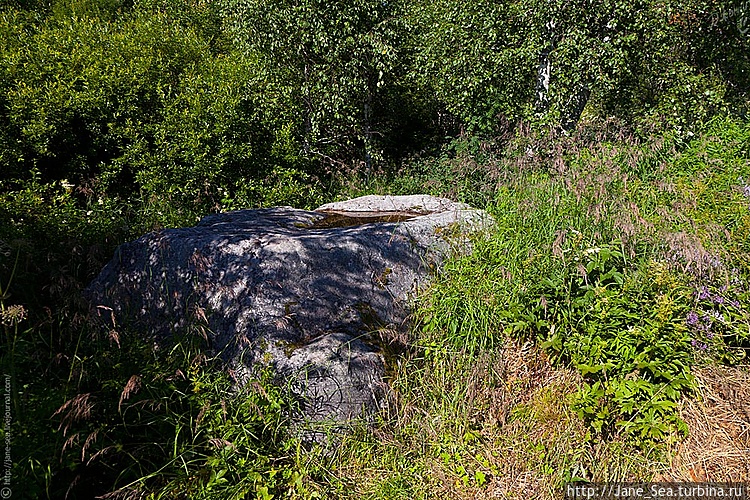 Николин камень