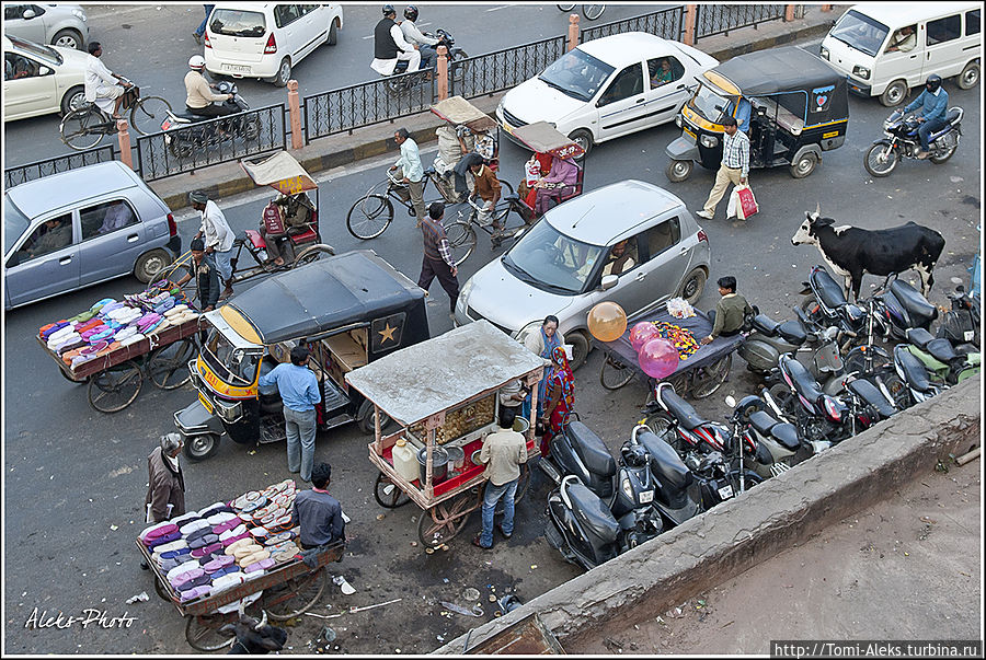 Честно говоря, улицы дневного Джайпура настолько перегружены, что от шума начинает кругом идти голова. Многие называют Джайпур одним из самых шумных городов Индии...
*
