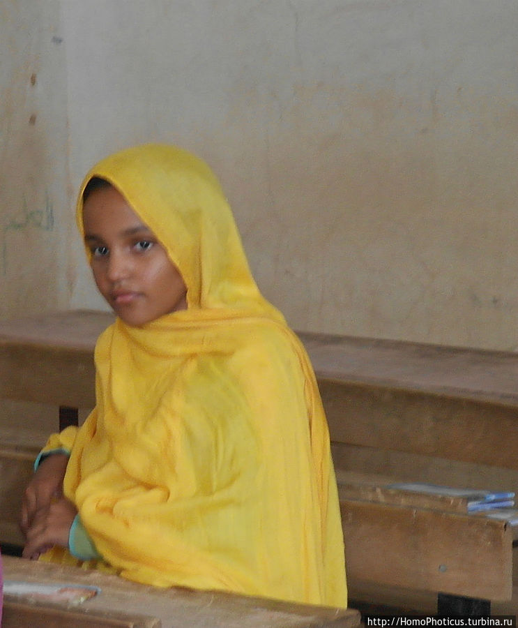 Просветительская миссия Тержит, Мавритания