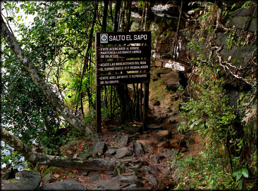 Водное Сальто или прогулка сквозь Сапо Национальный парк Канайма, Венесуэла