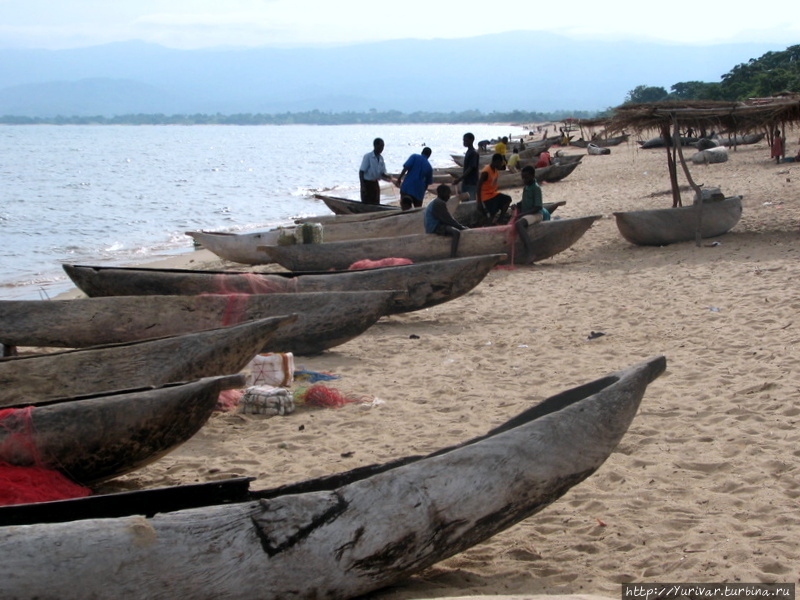 Все лодки местных рыбаков выдолблены из цельного ствола дерева