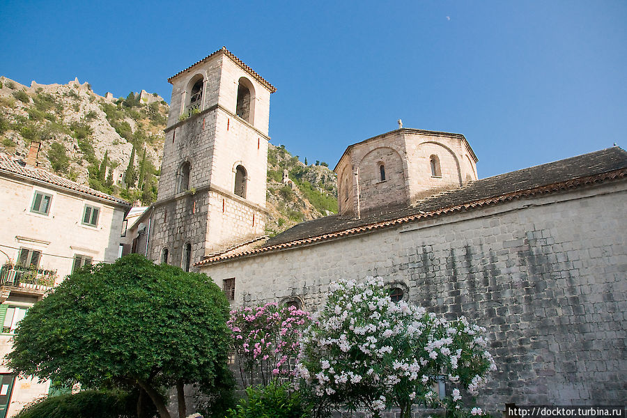Церковь Св. Марии Котор, Черногория