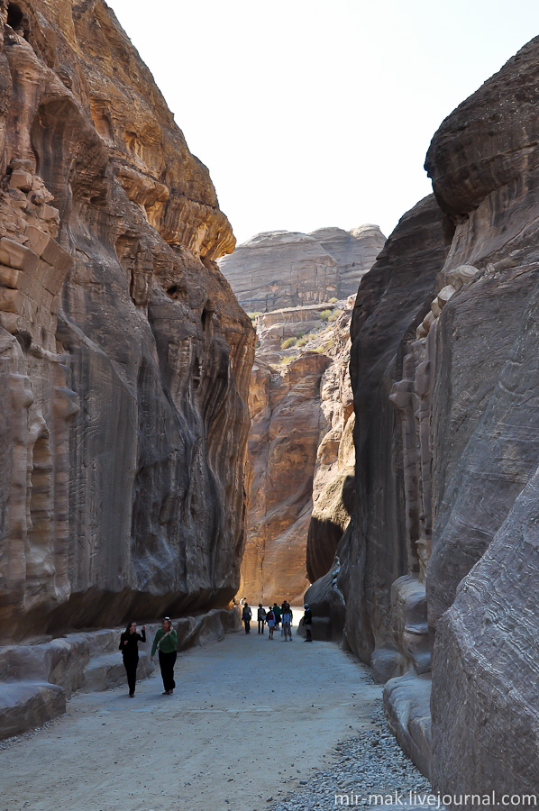 Высота каменных стен каньона достигает 60 метров. Петра, Иордания