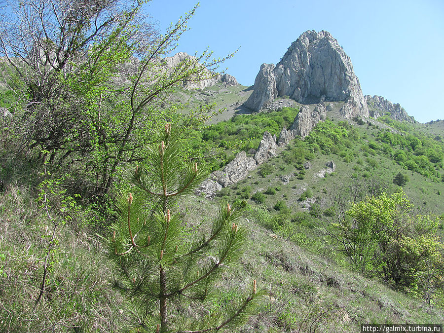 Форпост Караби.