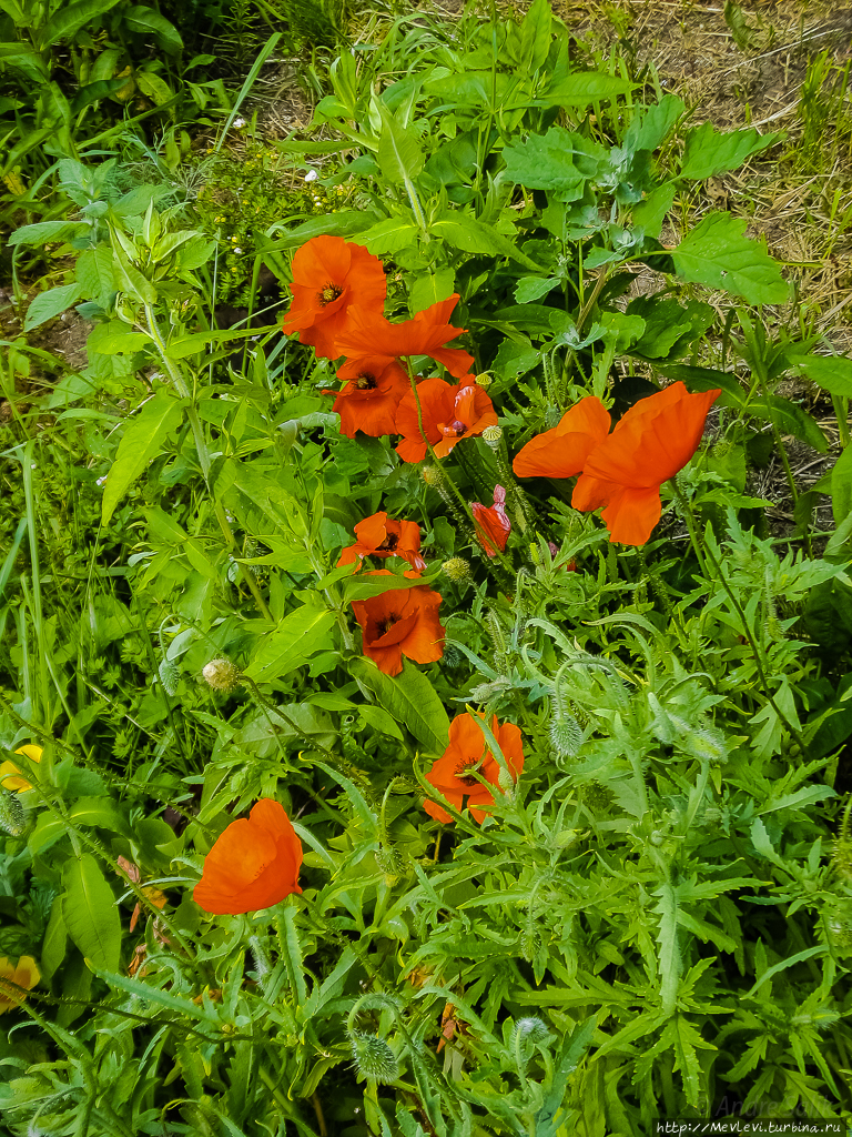 Гостевой дом Лимбажский район, Латвия