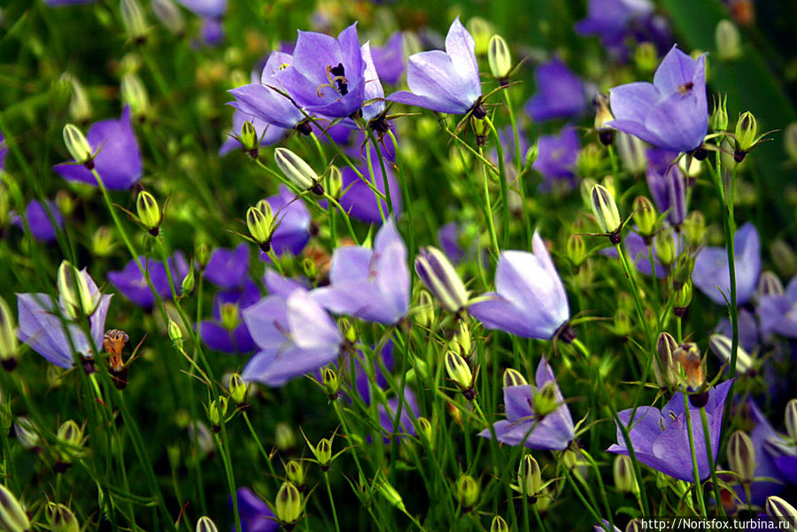 Поздравляю