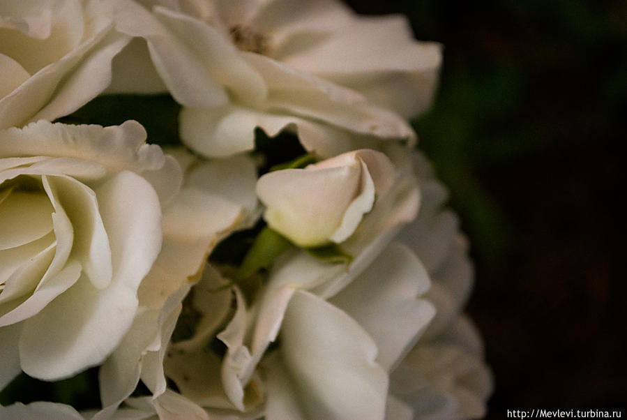 Ночной Шираз Шираз, Иран