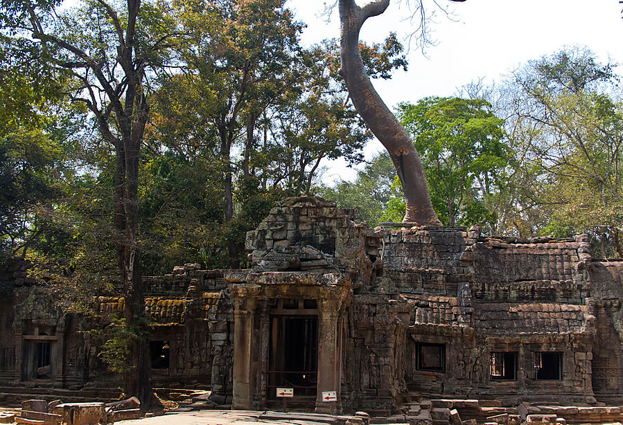 Ta Prohm. Тут снимался фильм Tomb Rider с Анджелиной Джоли в главной роли. Интересно могла ли она представить как раскрутит своим фильмом Ангкор. Ангкор (столица государства кхмеров), Камбоджа