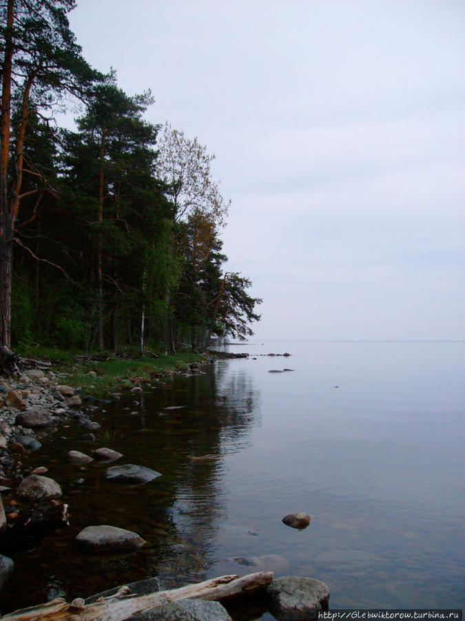 Пиньгуба на Онежском озере Петрозаводск, Россия